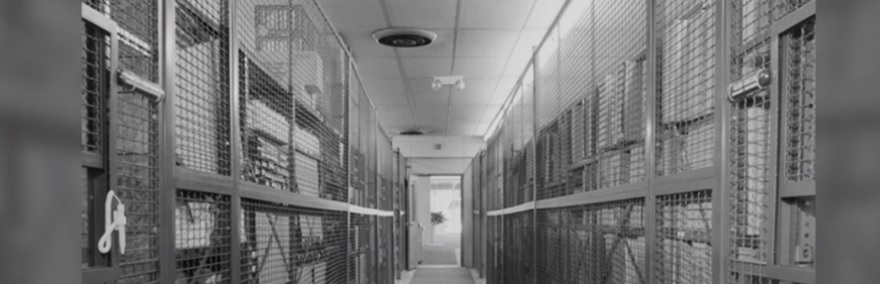 Smart Storage Systems Maryland Wire Partitions for securing items